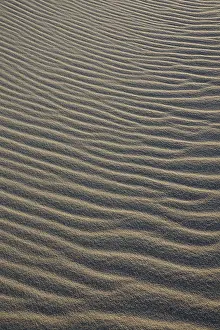 Deserted Sandy Landscape Drucke: Ripples in sand, sand structure