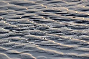 Wadden Sea Landscape Drucke: Ripples, scale pattern in sand at low tide