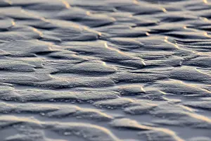Wadden Sea Landscape Drucke: Ripples, scale pattern in sand at low tide