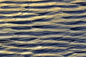 Wadden Sea Landscape Drucke: Ripples, scale pattern in sand at low tide
