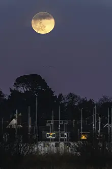 Northern Europe Evening Light Drucke: Rising moon at sunset Topsham, Devon