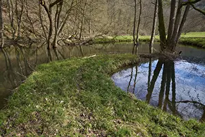 Southern Germany Spring Drucke: River, Beaver dyke, Tree, Spring