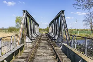 Wasserralle Drucke: Bode nahe Egeln