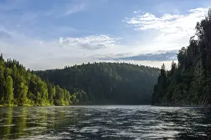 Mountain River Scenery Drucke: A river among a coniferous forest