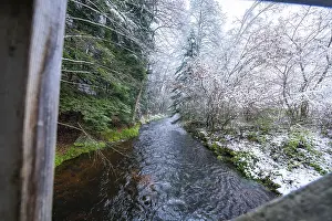 Black Forest Winter Scene Drucke: River flowing through a wintry