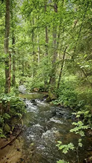 Southern Germany Tourism Destination Drucke: A river flows through a densely wooded
