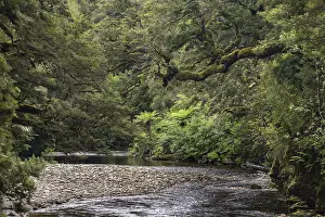 Rainforest Landscape Drucke: River flows through rainforest