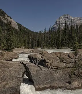 Uninhabited Riverbank Scene Drucke: River flows between rocks surrounded by pine forest