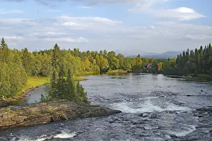 Drucke von Ein Fluss fließt zwischen Felsen und Bäumen, während der Himmel mit Wolken bedeckt ist, Storlien, Jamtland, Schweden Ein Fluss fließt zwischen Felsen und Bäumen Fluss Drucke: Ein Fluss fließt zwischen Felsen und Bäumen, während der Himmel von Wolken bedeckt ist.
