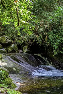 Rainforest Landscape Photo Drucke: River inside dense tropical forest surrounded by vegetation