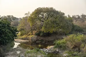 Deserted River Scenery Drucke: River landscape in the evening light