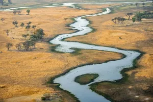 Okavango Delta Landscape Drucke: River landscape, idyllic river course