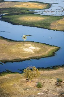 Okavango Delta Landscape Drucke: River landscape with palm tree