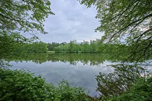 River Landscape Drucke: River landscape, reflection, tree