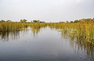 World Natural Heritage Botswana Drucke: River landscape, reflection in water