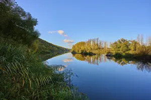 River Main Germany Drucke: River, Main, Trees, Reflection