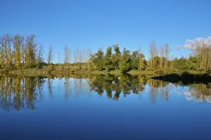 Autumn In Bavaria Drucke: River, Main, Trees, Reflection