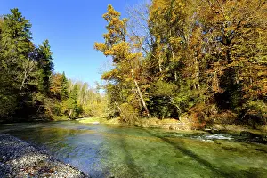 Autumn Forest Landscape Germany Drucke: River Mangfall, between Valley and Maxlmuhle
