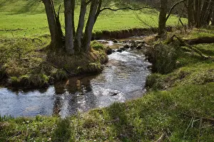Springtime In Bavaria Germany Drucke: River, Meadow, Tree, Spring, Odenwald