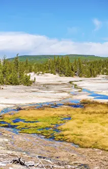 Hot Springs USA Drucke: River in the Norris Back Basin