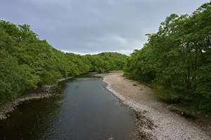 Deserted Riverbank Scene Drucke: River with pebble beach surrounded by thick forest and cloudy sky