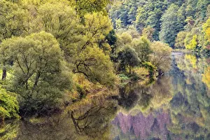 Uninhabited Waterfront In Germany Drucke: The River Sieg in Windecker Landchen