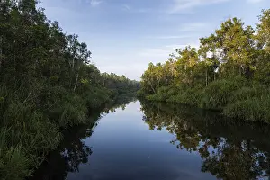 Tanjun Puting National Park Drucke: River view, Tanjun Puting National Park
