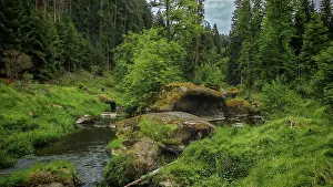 Upper Palatinate Scenery Drucke: A river, Waldnaab flows through a forest