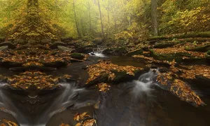Central America Nature Photography Drucke: River with waterfall hidden in the rain forest
