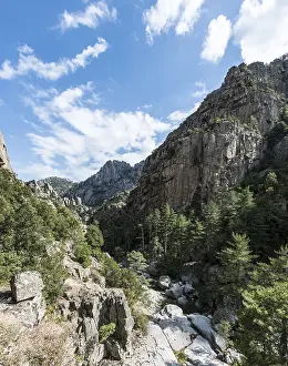 Tavignano River France Drucke: Riverbed of the Tavignano, Corte