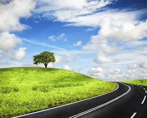 Oak Tree Countryside Drucke: Road