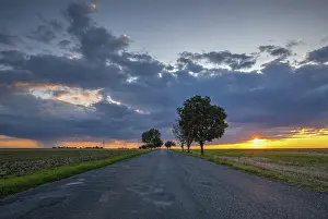Agricultural Crop Fields Europe Drucke: On the empty road between fields after harvesting at dramatic sunter