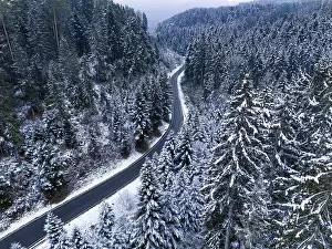 Deserted Forest Road Drucke: Road through the forest in the snow