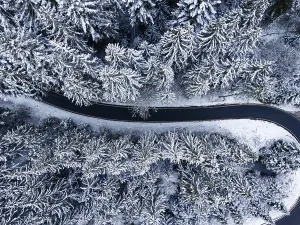 German Winter Landscape Photography Drucke: Road through the forest in the snow