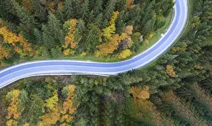 Gerahmter Druck : Straße durch den Wald, Vogelperspektive Gerahmter Druck : Straße durch den Wald, Vogelperspektive