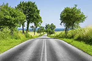 Deserted Highway Drucke: Road and green tree