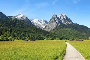 Wetterstein Mountain Range Drucke: Road through meadows in spring