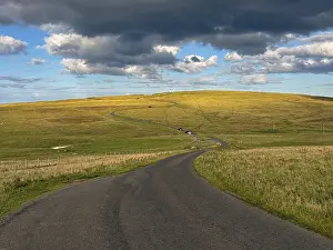 European Countryside At Dusk Drucke: Road running through rolling fields under cloudy sky at dusk
