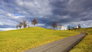 Sunset In The Countryside Drucke: Empty road in the spring landscape at sunset