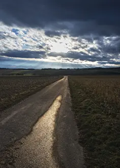 Evening Atmosphere Photography Drucke: Road to the sunset