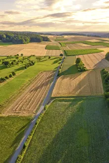 Central Europe Evening Sky Drucke: Road surrounded by fields at sunset