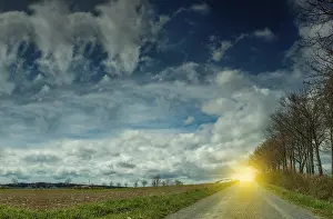 Deserted Countryside Drucke: A road surrounded by trees with sky and clouds