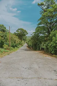 No People On The Road Drucke: An empty road surrounded by vegetation