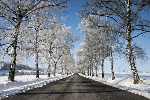 Deserted Street Drucke: Empty road in winter