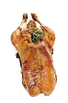 Roast Goose Nutrition Drucke: Roast goose