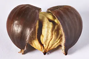 Roasted Chestnuts Drucke: Roasted chestnuts