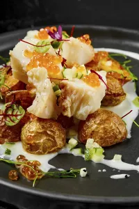 Weight Loss Diet Food Drucke: Roasted cod fillet with deep fried spring potato