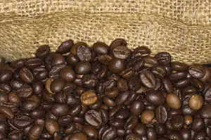 Roasted Coffee Beans Drucke: Roasted coffee beans with jute sack