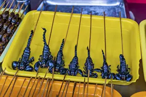 Drucke von Gegrillt, frittiert und roh gefressene Insekten, Seidenspinner, Skorpione, Käfer auf einem Stab als Snackstraßenfutter in China Skorpion Drucke: Gekocht, gebraten und roh gefangene Insekten.