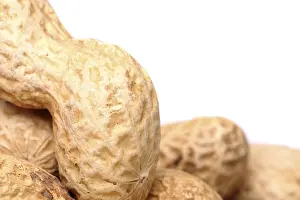 Studio Shot Of Peanuts Drucke: Roasted in-shell peanuts close-up are located left on the white background
